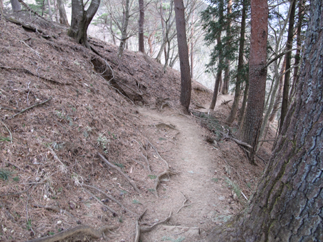 20170118hike (77)